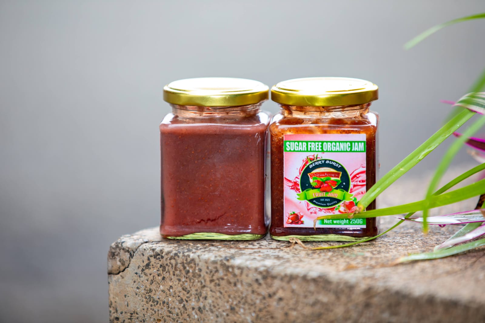 Two jars of Aluvison sugar-free organic jam