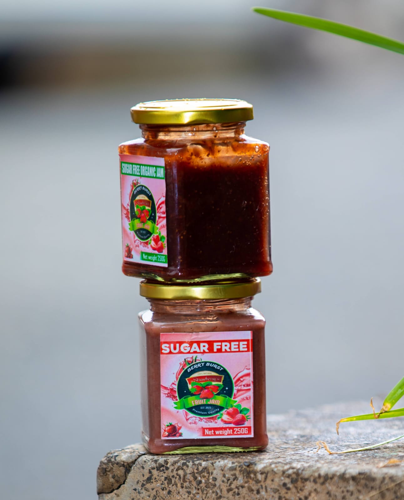 Two stacked jars of Aluvison sugar-free organic jam